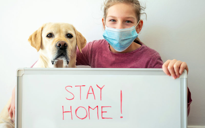 Câinii ar putea deveni esenţiali în oprirea răspândirii coronavirusului. Cum funcţionează „testul canin” pentru Covid-19