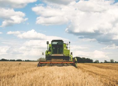 Subvenţii pentru fermieri în 2021! Ministrul Agriculturii a publicat lista cu ajutoarele de stat