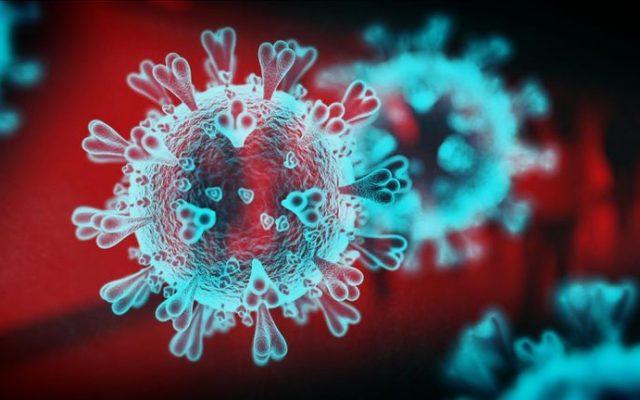 Cum interacţionează COVID cu virusul care provoacă răceala. Concluziile surprinzătoare ale unui studiu scoţian