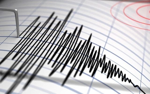 Cutremur cu magnitudine 3,2 în Vrancea