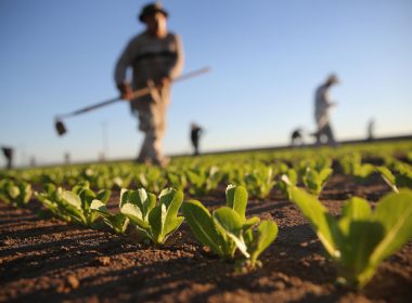 Vor putea fermierii să irige din foraje? Răspunsul ministrului agriculturii