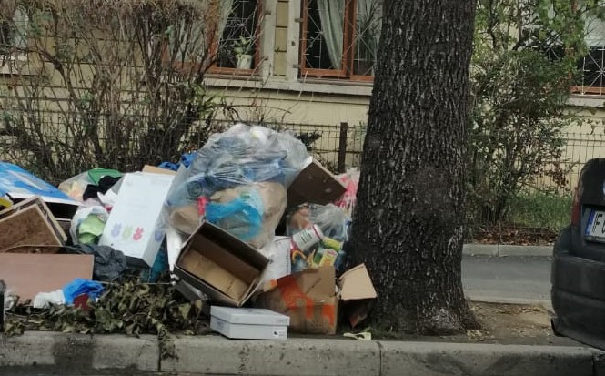 În Sectorul 1, ca-n Napoli în 2010. Mii de tone de gunoi sufocă străzile: "S-a împuţit peste tot, o să ne mănânce şobolanii"