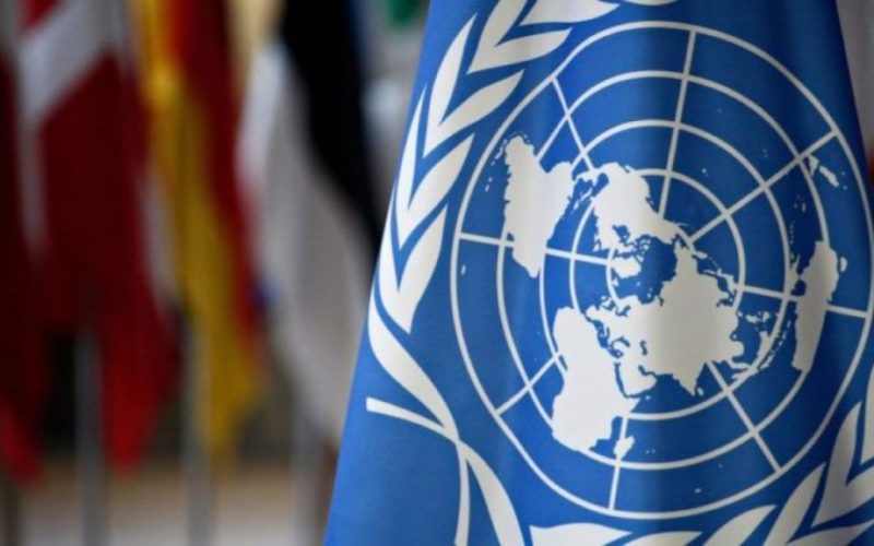 România a pledat pentru consolidarea securităţii maritime la dezbaterea deschisă a Consiliului de Securitate al ONU