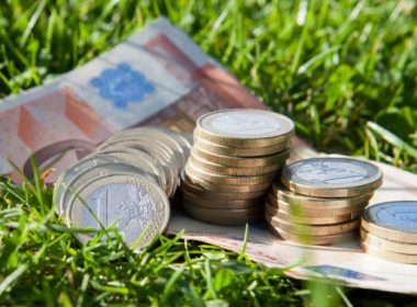 APIA: Cum şi când se depun cererile unice de plată pentru subvenţii în 2022