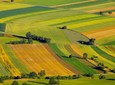 Preţul mediu al terenului arabil din România este mai mare decât în Franţa