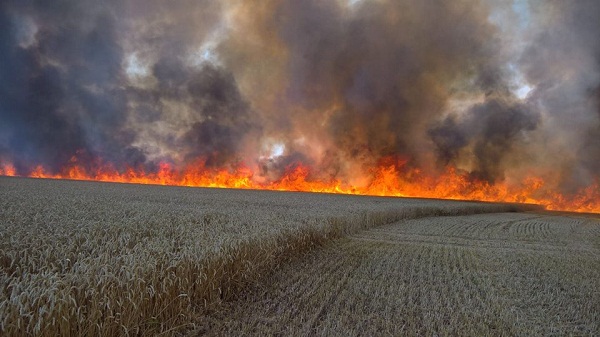 Incendiile de vegetaţie din Giurgiu au afectat izolaţia unor conducte ale reţelei de termoficare