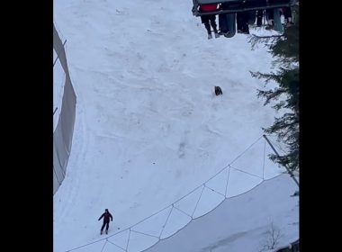 Ursul care a fugărit un turist pe pârtie la Predeal, capturat