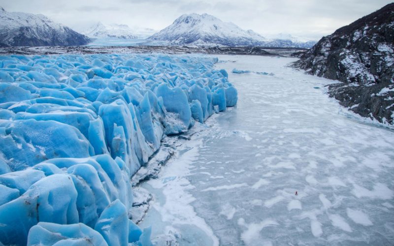„Creaturi stranii”, descoperite de oamenii de ştiinţă sub gheaţa din Antarctica: „Cum au ajuns aici, ce mănâncă?”