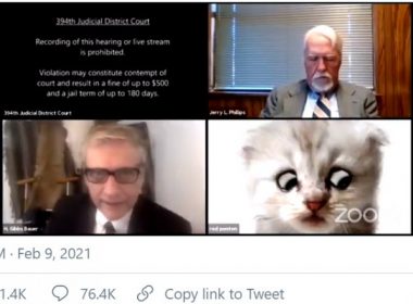 Video viral. Un avocat a pledat într-un proces pe Zoom cu un filtru care îl transformă în felină. „Nu sunt o pisică”