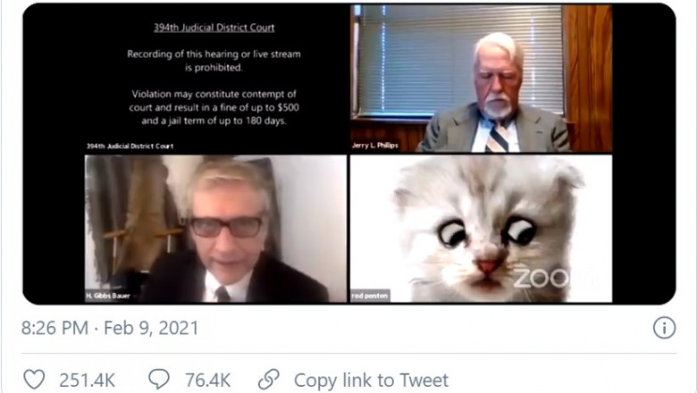 Video viral. Un avocat a pledat într-un proces pe Zoom cu un filtru care îl transformă în felină. „Nu sunt o pisică”