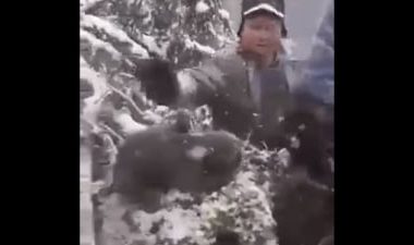 Ministrul Mediului, despre cazul ursuleţilor aruncaţi în zăpadă: Oamenii spun că i-au lăsat acolo. Garda de mediu s-a dus să îi caute