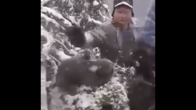 Ministrul Mediului, despre cazul ursuleţilor aruncaţi în zăpadă: Oamenii spun că i-au lăsat acolo. Garda de mediu s-a dus să îi caute