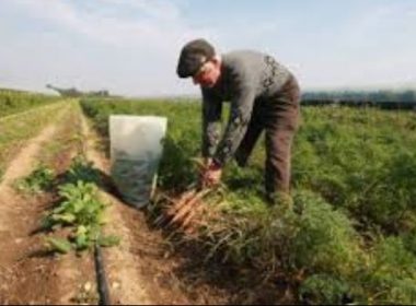 Prin programul „legume in spatiu protejat” luati anul acesta 4600 de EUR