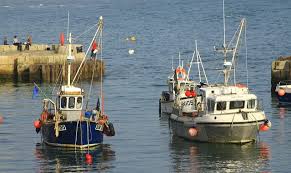Pescarii britanici se plâng că Brexit este „o trădare”. Industria pescuitului pierde un milion de lire sterline zilnic