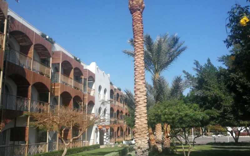 Hotelier Hurghada: Estimăm că abia în 2022 ne vom reveni la nivelul de dinainte de pandemie. 100 de camere sunt deja ocupate de români / Ce spune despre turiştii români