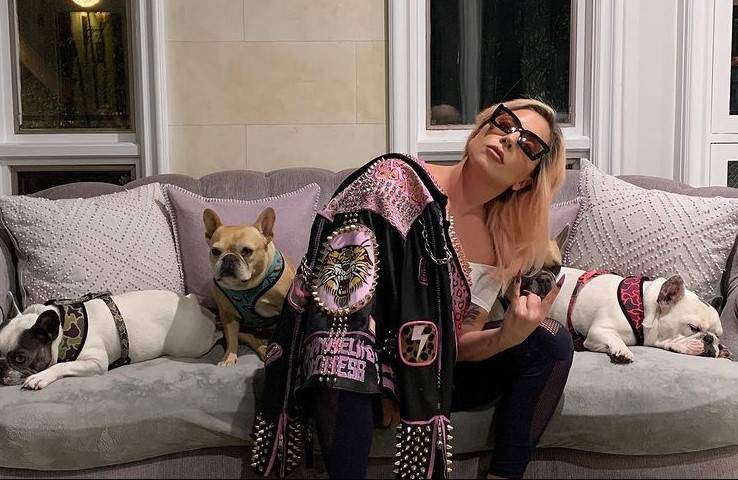 Lady Gaga oferă o recompensă de 500.000 de dolari pentru doi câini furaţi în Los Angeles