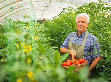 Noua măsură AFIR pentru legumicultori – Finanţare de 2 milioane EURO/fermă￼￼