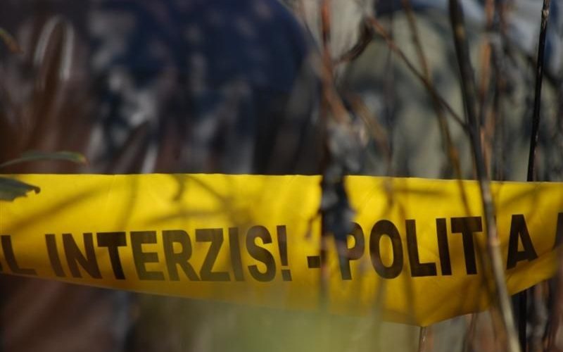 Un copil de 8 ani a murit la Costineşti. A fost strivit de ţevile depozitate pe un câmp