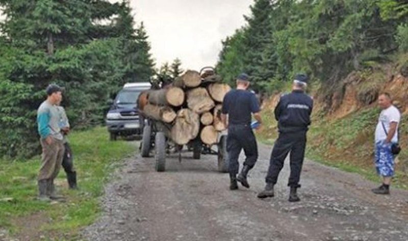 Secretar de stat: Cetăţenii care au suspiciuni cu privire la un transport de lemne pot suna la 112