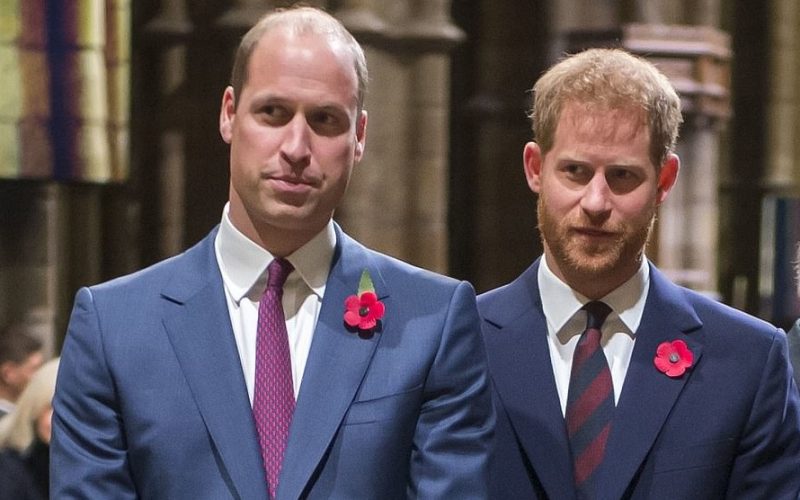 Prinţul William a fost„cutremurat” de interviul dat de Harry şi Meghan, considerând remarcile acestora „departe de adevăr”