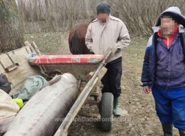 Un sturion de 140 de kilograme, lung de 2,5 metri, descoperit într-o căruţă