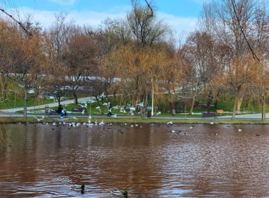 Fenomen ciudat în parcul IOR din Bucureşti. Apa lacului este roşie de câteva săptămâni