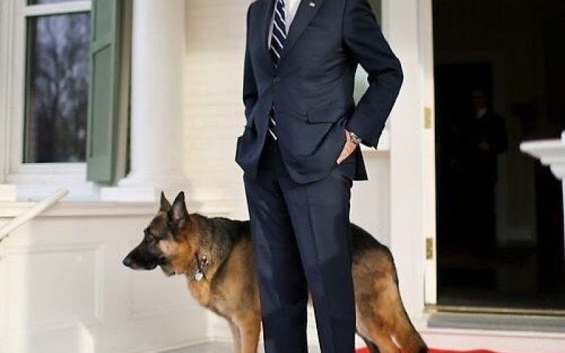 Câinii lui Joe Biden au fost daţi afară de la Casa Albă, după un „incident”