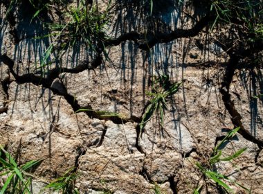 Taiwanul se pregăteşte de cea mai gravă secetă din ultima jumătate de secol. Lipsa apei din estul Asiei va afecta inclusiv România