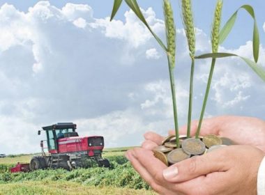 Plăţi APIA în avans – Când intră banii în conturile fermierilor