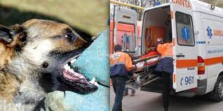 Femeie din Vâlcea, atacată sălbatic de câinii vecinului pe care îl îngrijea. A murit în mâinile echipajului de Salvare