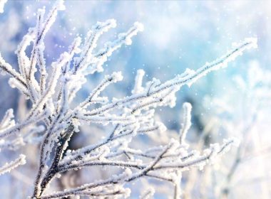 Zăpadă de 5-10 centimetri în Parâng şi Retezat; salvamontiştii recomandă prudenţă