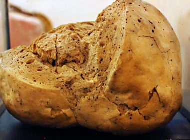 Cea mai veche pâine din lume, expusă în muzeu