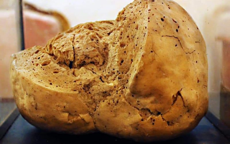 Cea mai veche pâine din lume, expusă în muzeu