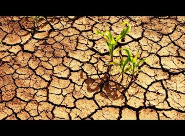 Creşterea frecvenţei şi intensităţii dezastrelor ameninţă sistemele alimentare ale planetei, avertizează ONU