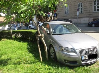 Primarul Sectorului 6 propune majorarea amenzilor pentru vehiculele parcate pe spaţiile verzi