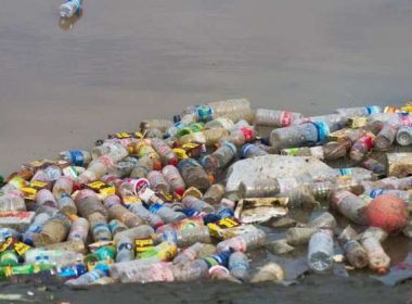 Garanţia pentru sticlele din plastic va fi de 50 de bani, anunţă ministrul mediului