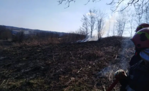Nouă hectare de vegetaţie uscată au ars din cauza unei ţigări aruncate la întâmplare