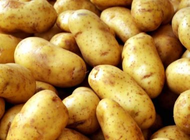 România este al 7-lea producător de cartofi din lume