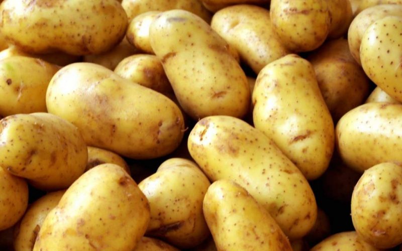 Scandal în Polonia pentru cartofi româneşti. Acuzaţii de “comerţ ilegal” în pieţe, etichetaţi fals ca fiind de la fermieri polonezi