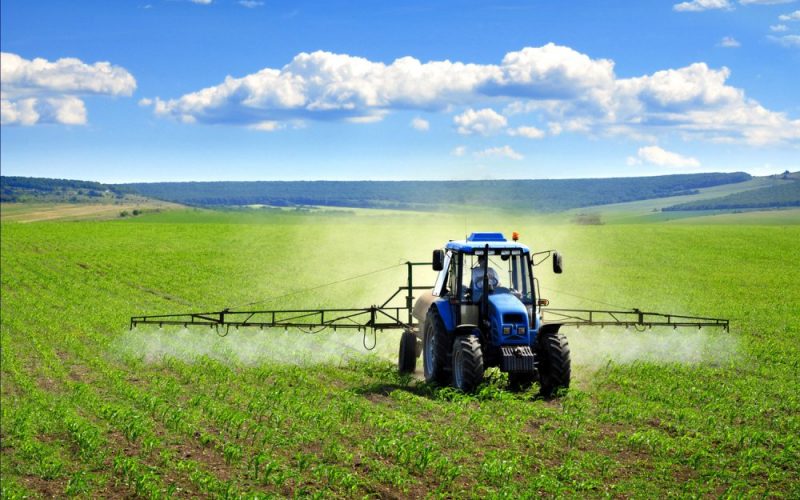 Aplicarea erbicidelor, fungicidelor şi insecticidelor la culturile de legume