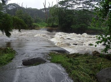 Cod portocaliu de posibile inundaţii pe râurile din Ialomiţa