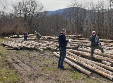 Misiunea "Scutul Pădurii" în Caraş Severin - 17 camioane verificate, peste 120 de metri cubi de material lemnos confiscat şi două sancţiuni în valoare 15.000 de lei