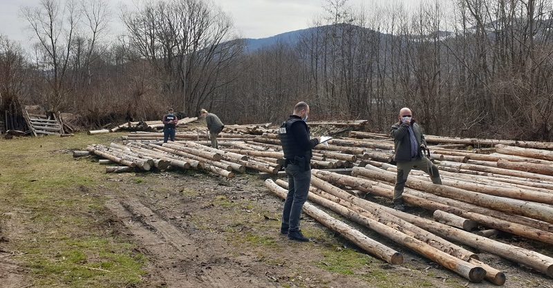 Misiunea "Scutul Pădurii" în Caraş Severin - 17 camioane verificate, peste 120 de metri cubi de material lemnos confiscat şi două sancţiuni în valoare 15.000 de lei