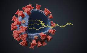 O nouă tulpină a virusului SARS-Cov-2 cu mutaţia E484K, care potrivit unor studii reduce eficienţa vaccinului, descoperită în România