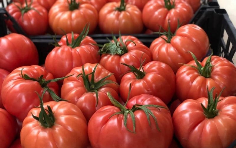 Preţul unui kilogram de tomate la producător, între 20 şi 27 de lei