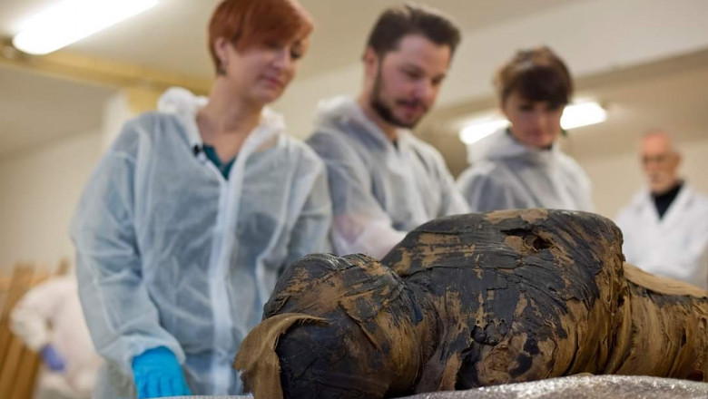 Descoperire importantă. Singura mumie egipteană a unei femei însărcinate găsită până acum era ascunsă în sarcofagul unui preot