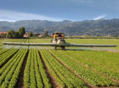 Noi reglementări pentru fermierii români, în Codul de Bune Practici Agricole