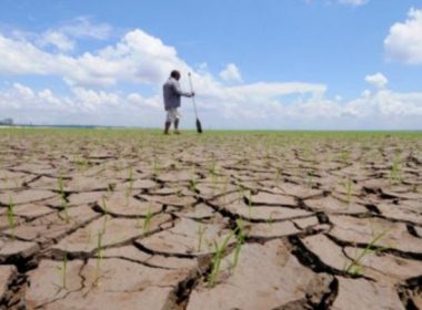 Spania: Cel mai secetos început de an din ultimul secol