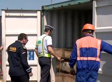 Şapte containere pline cu lemn au fost oprite de la export în portul Constanţa