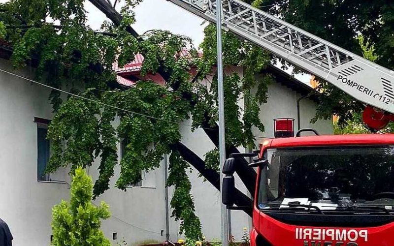 Un copac a căzut peste o clădire a Spitalului Judeţean de Urgenţă Giurgiu, pompierii intervenind pentru a-l îndepărta